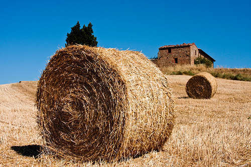 Agricoltura - foto di Roberto_Ventre 