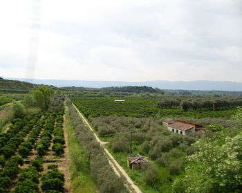 Piana di Gioia Tauro