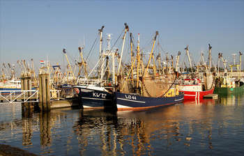 Fishing Boats