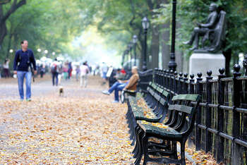 Central Park Benches