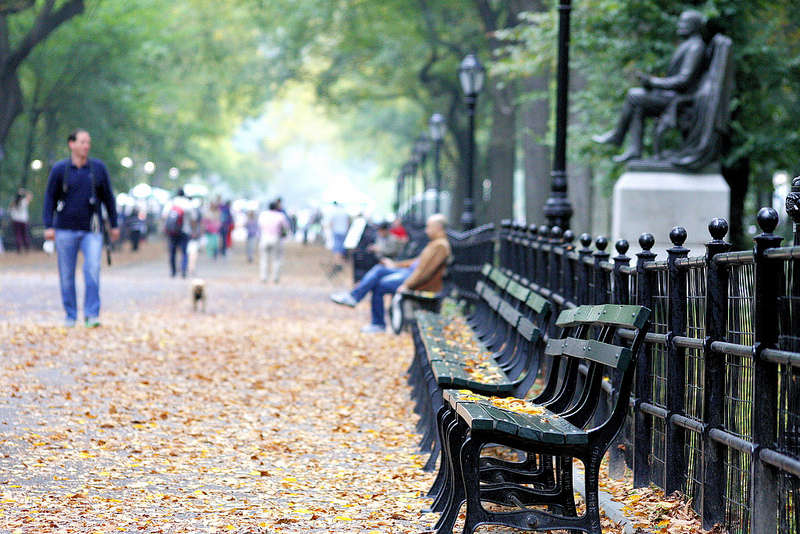 Central Park Benches