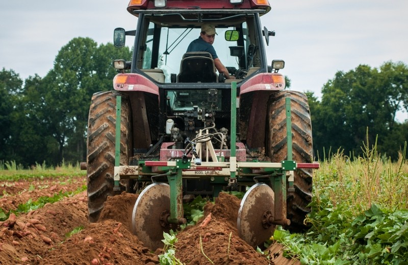 Giovani agricoltori