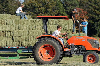 Terreno agricolo