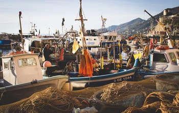 Fisheries - Photo credit: mariagraziamontagnari.net via Foter.com / CC BY