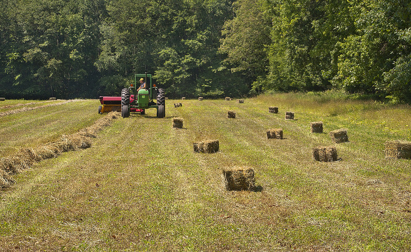 Agriculture - Photo credit: Muffet via Foter.com / CC BY