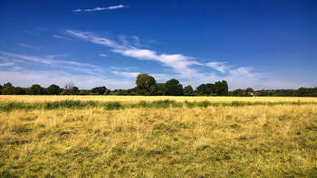 Campo agricolo