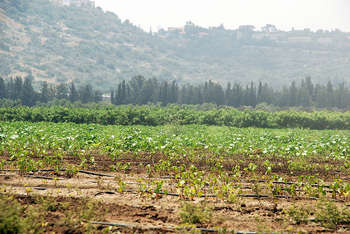 FEASR - Photo credit: StateofIsrael via Foter.com / CC BY