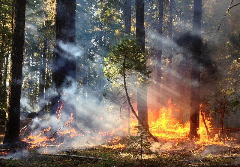 Emergenza incendi