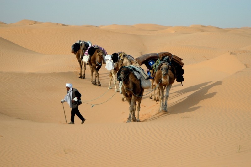 Cooperazione Tunisia