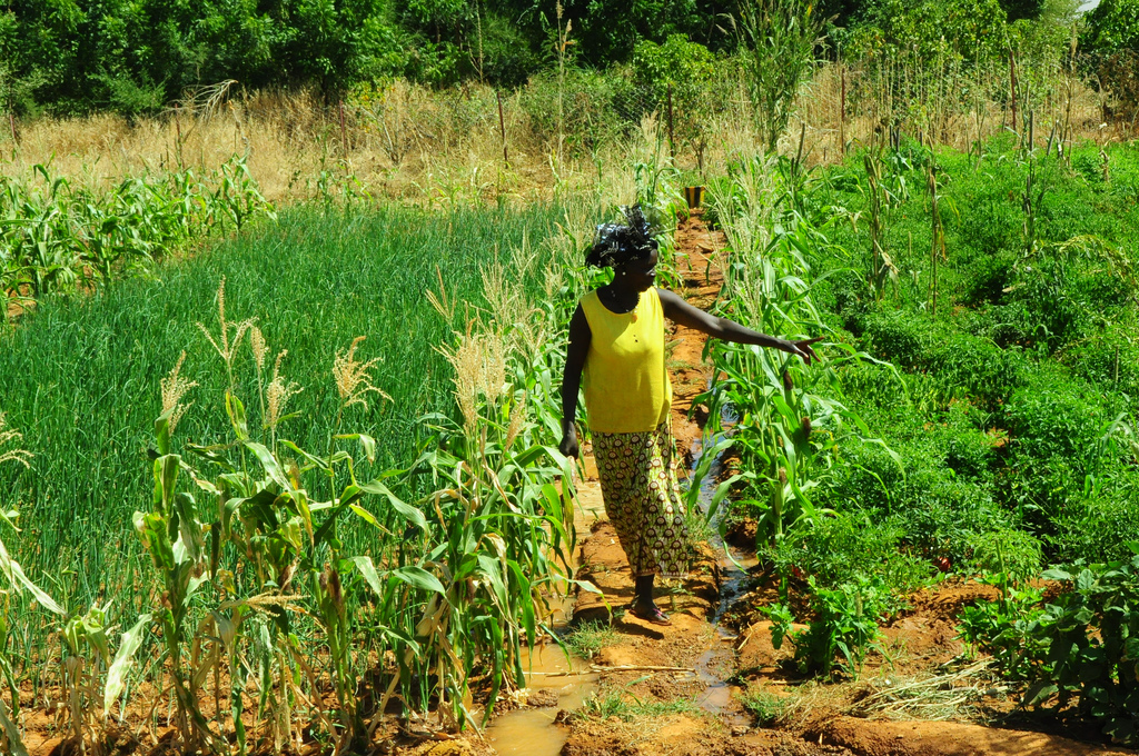 Task force rural Africa - Photo credit CGIAR Climate on Foter.com / CC BY-NC-SA