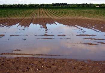 Agricoltura - Photo credit: Foto di Gerd Altmann da Pixabay