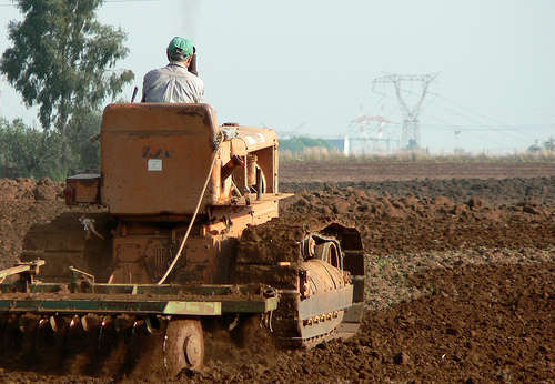 Agricoltura - foto di hidden side